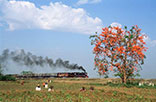 DISCOVERING THE CHINDWIN RIVER (12 Days - 11 Nights)